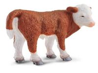 Hereford Calf Standing (S) CO88236