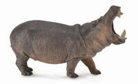 Hippopotamus (XL) CO88833