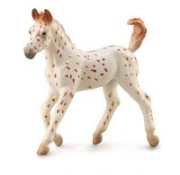 Knabstrupper Foal Leopard (M) CO88848