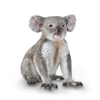 Koala M CO88940