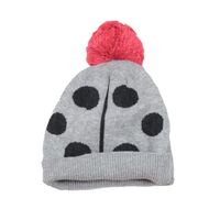 Ladybug Beanie