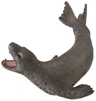 Leopard Seal L CO8806