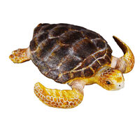 Loggerhead Turtle CO88094 (M)