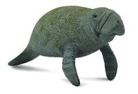 Manatee L CO88455