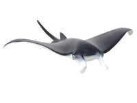 Manta Ray M CO88040