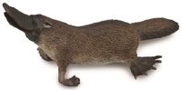 PLATYPUS M CO88795