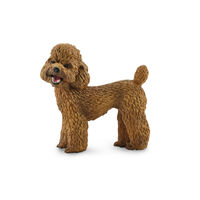 Poodle (M)  CO88880