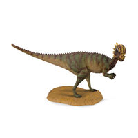 Pachycephalosaurus (M) CO88629