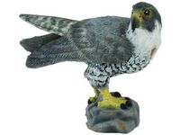 Peregrine Falcon (S) CO 88399