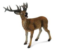 Red Deer Stag (L) CO88469