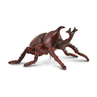 Rhinoceros Beetle (M) CO88337