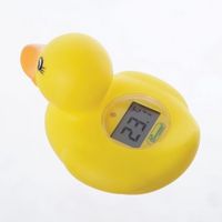 Room + Bath Thermometer