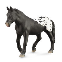 Sugarbush Draft Mare- Blk W Spots (XL) CO888979