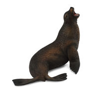 Sea Lion CO88454 (L)