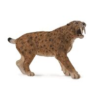 Smilodon CO88715