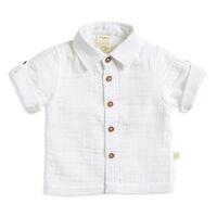 TTS225A Gandhi  Shirt White 