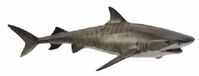 Tiger Shark (L) CO 88661