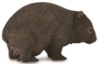 Wombat (M) CO88756