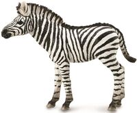 Zebra Foal (M) CO88850